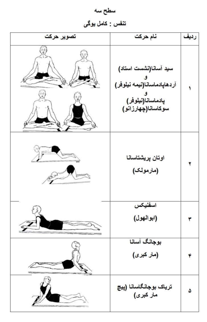 آموزش سطح ۳_ دوره ی مربیگری  - Thumbnail 1