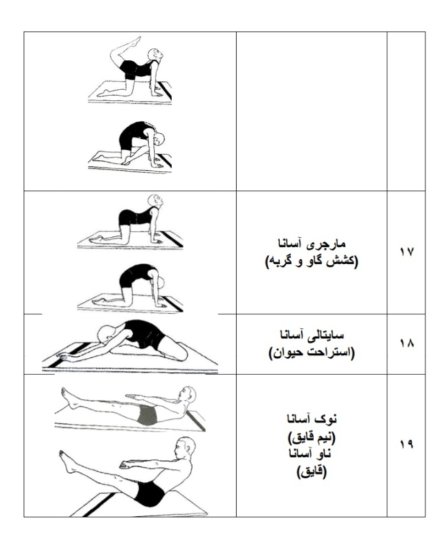 آموزش سطح ۳_ دوره ی مربیگری  - Thumbnail 4